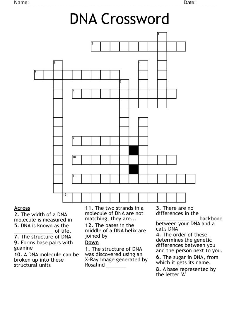 DNA Crossword