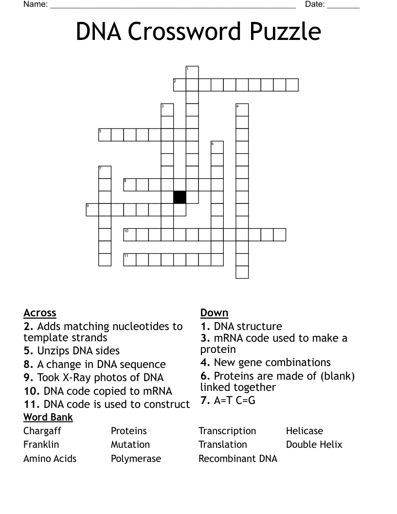 DNA Crossword Puzzle
