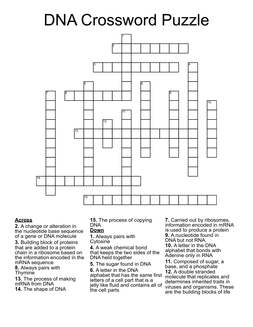 DNA Crossword Puzzle