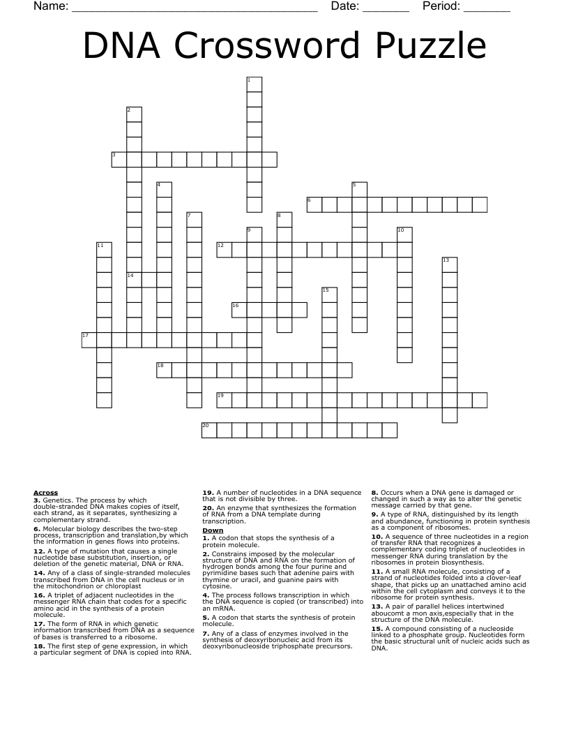 DNA Crossword Puzzle