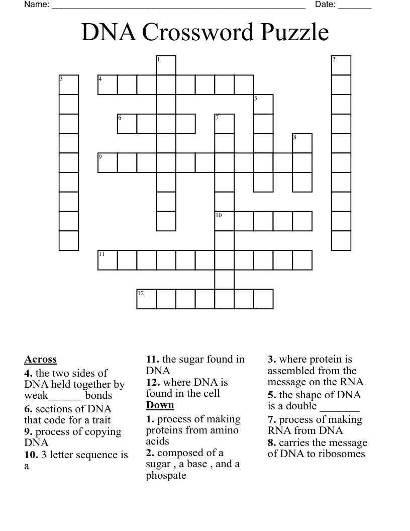 DNA Crossword Puzzle 