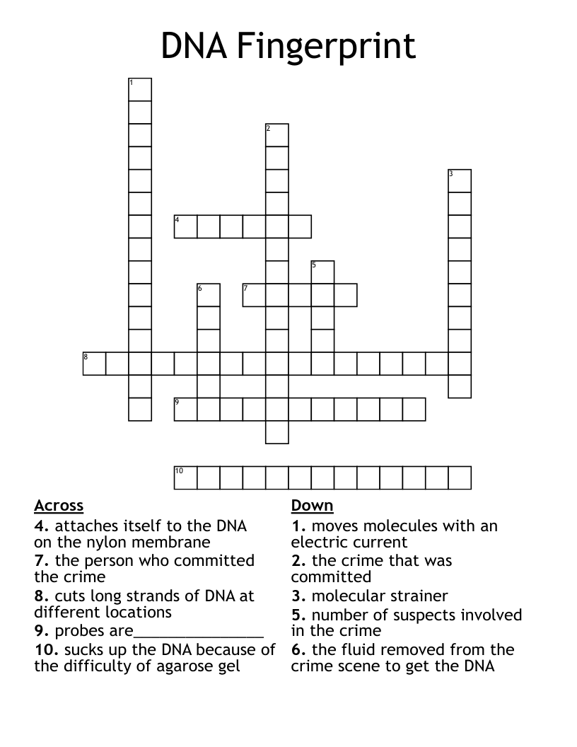 DNA Fingerprint Crossword