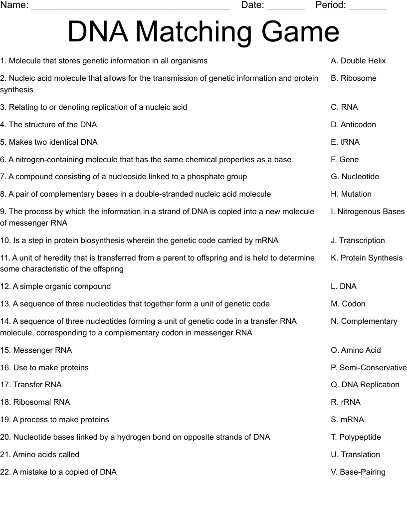 DNA Matching Game   Worksheet