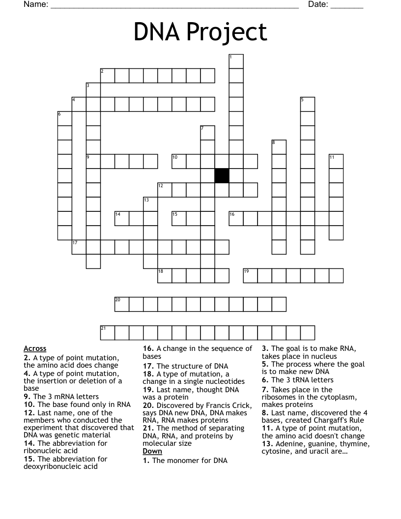 DNA Project  Crossword