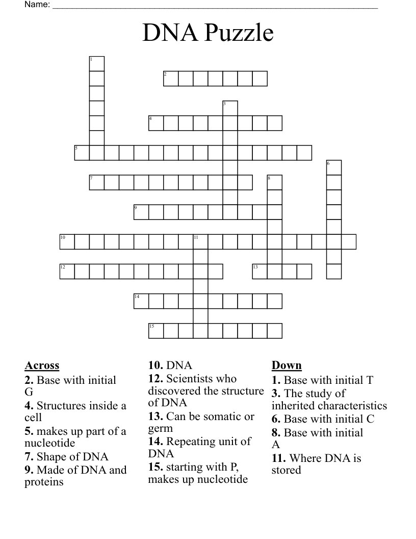 DNA Puzzle Crossword