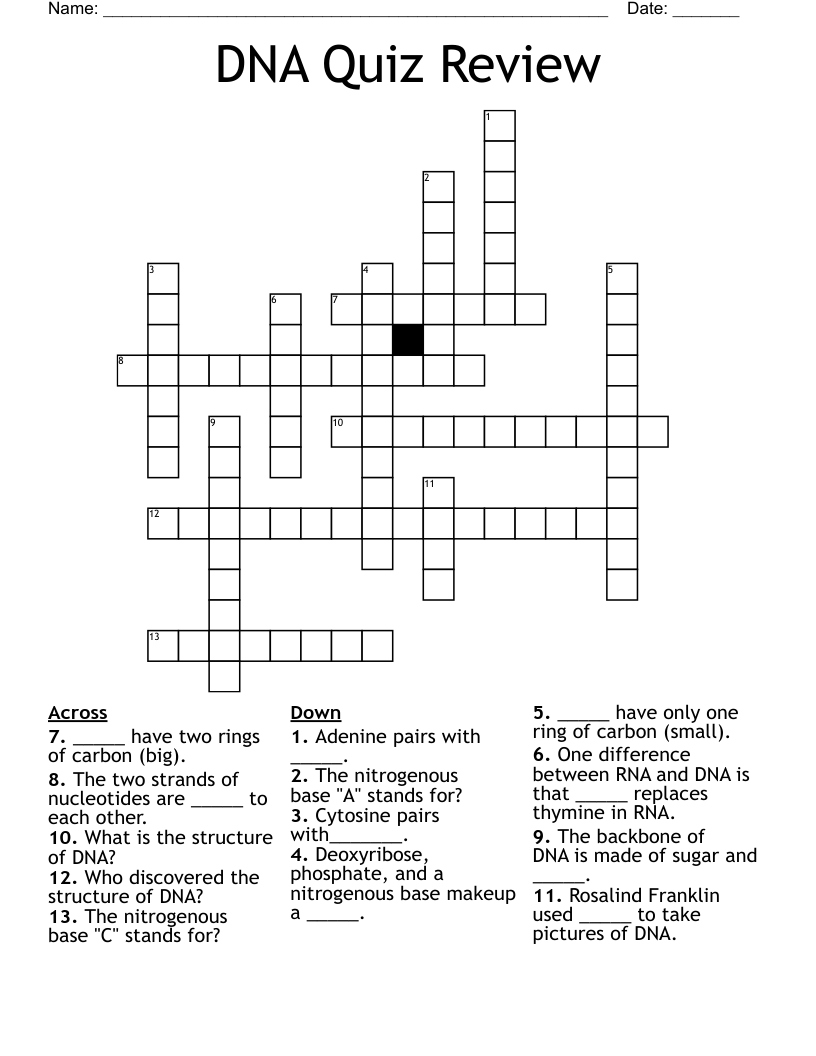 DNA Quiz Review Crossword