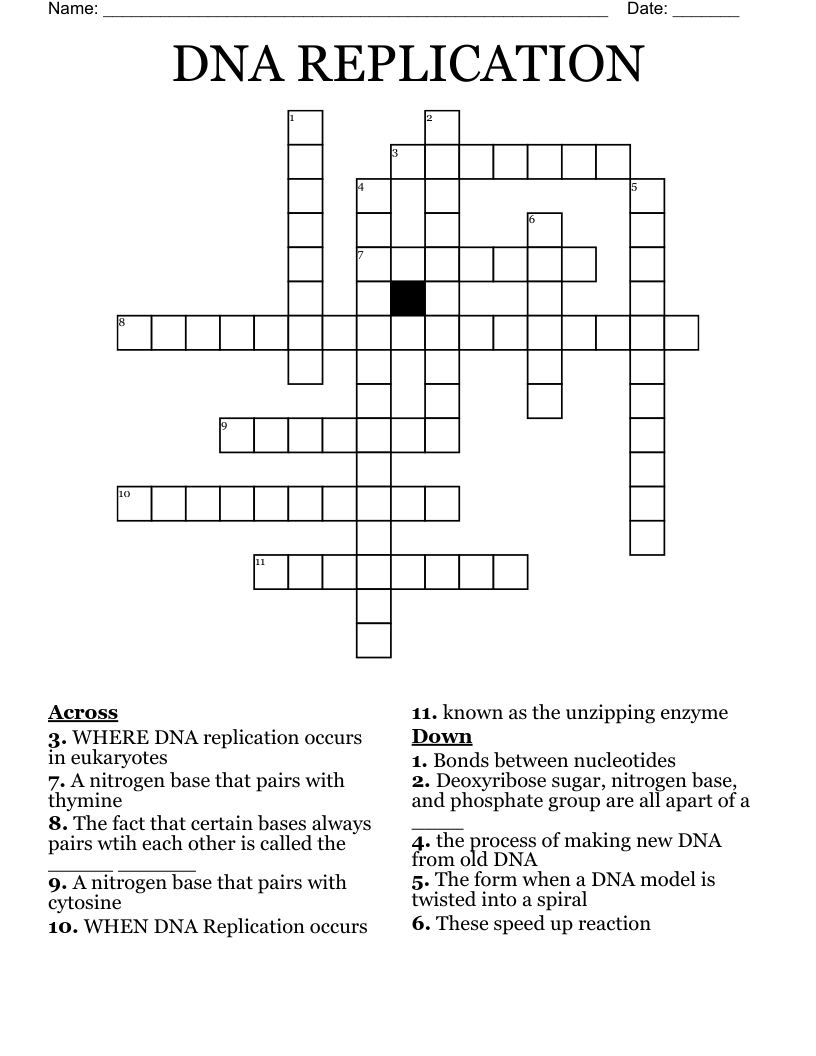 DNA REPLICATION Crossword