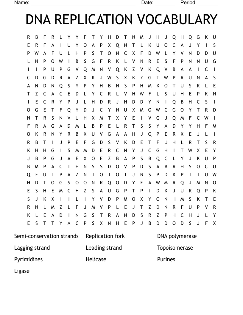 DNA REPLICATION VOCABULARY Word Search