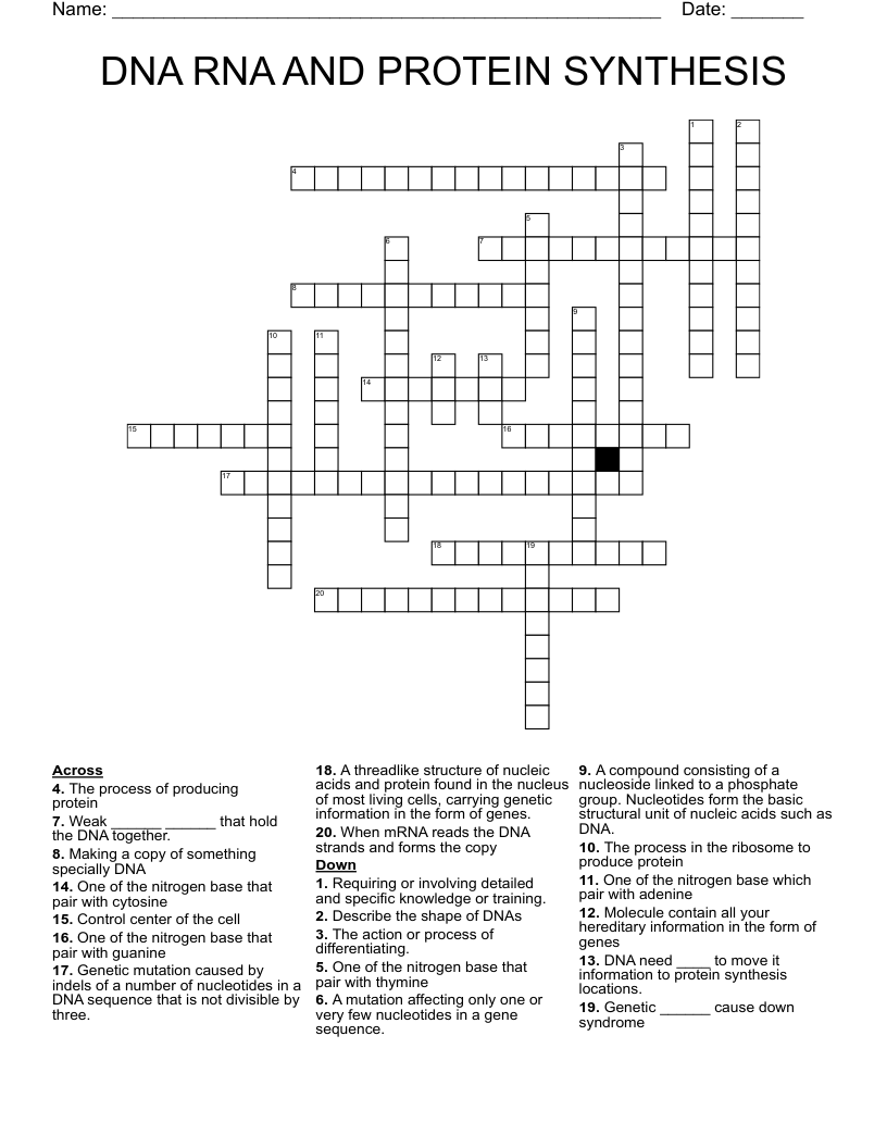 DNA RNA AND PROTEIN SYNTHESIS  Crossword