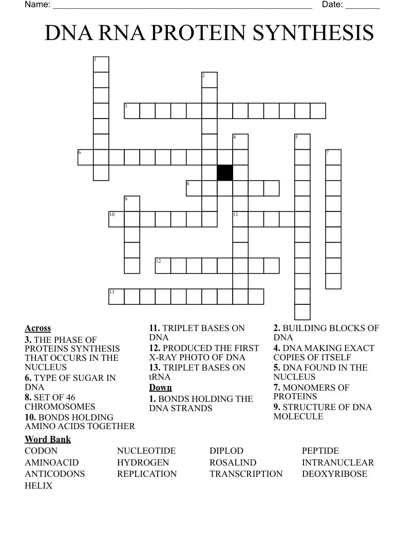 DNA RNA PROTEIN SYNTHESIS Crossword