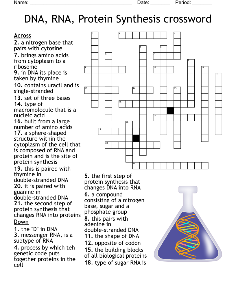 DNA, RNA, Protein Synthesis crossword