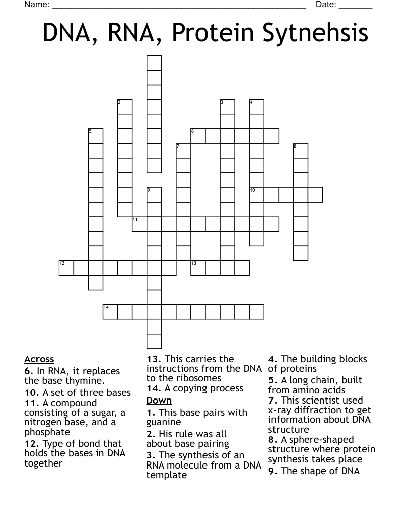 DNA, RNA, Protein Sytnehsis Crossword
