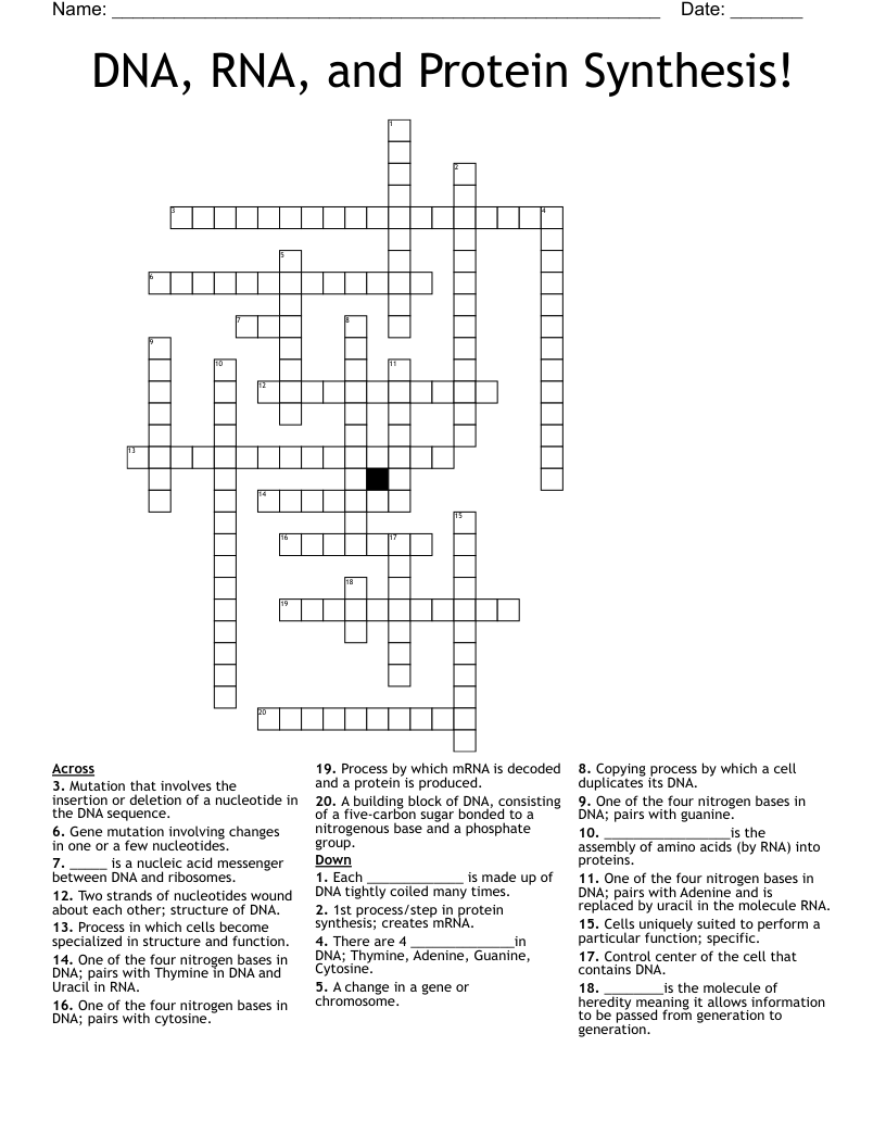 DNA, RNA, and Protein Synthesis! Crossword