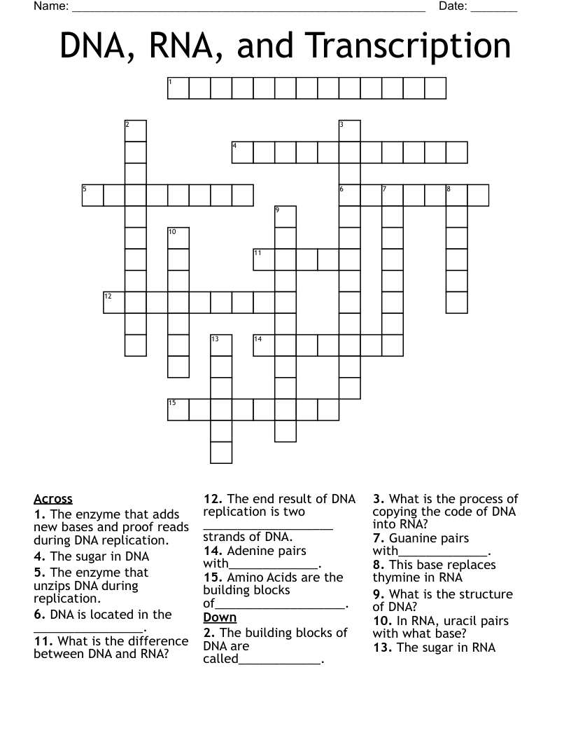 DNA, RNA, and Transcription Crossword