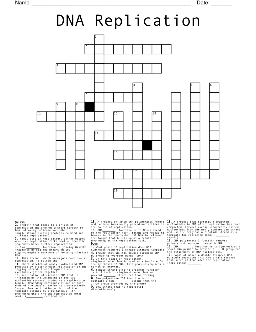 DNA Replication Crossword