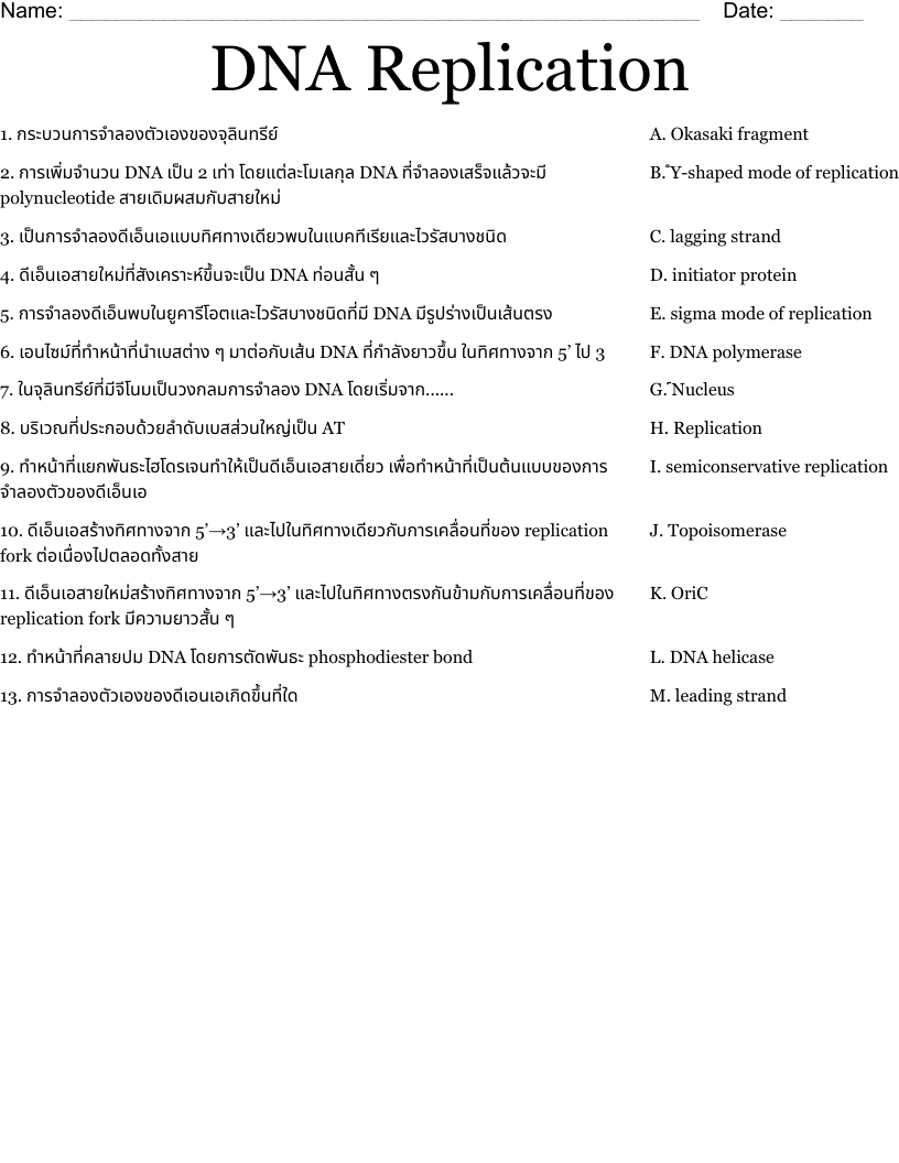 DNA Replication Worksheet