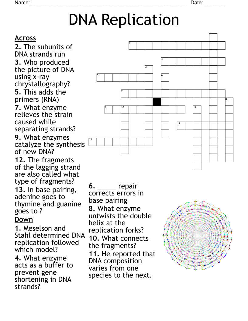 DNA Replication Crossword