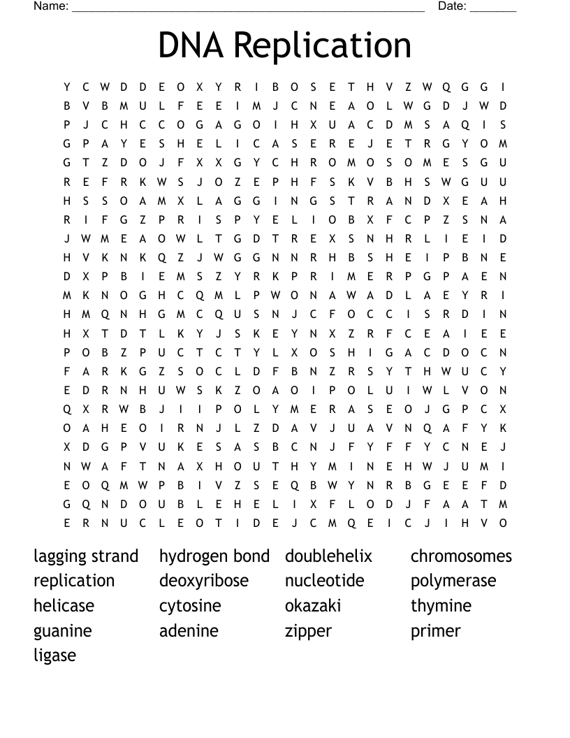 DNA Replication Word Search