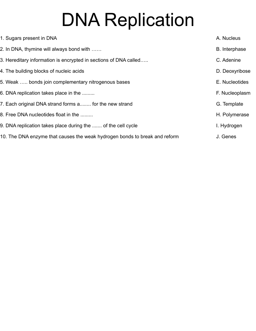 DNA Replication Worksheet