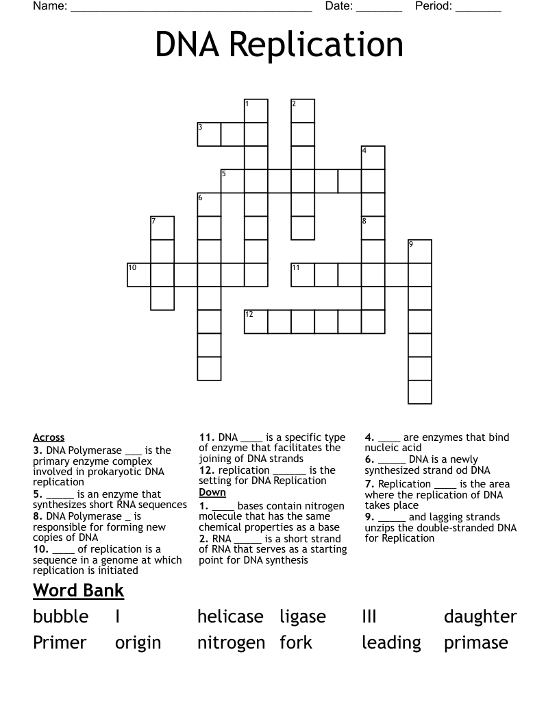 DNA Replication Crossword