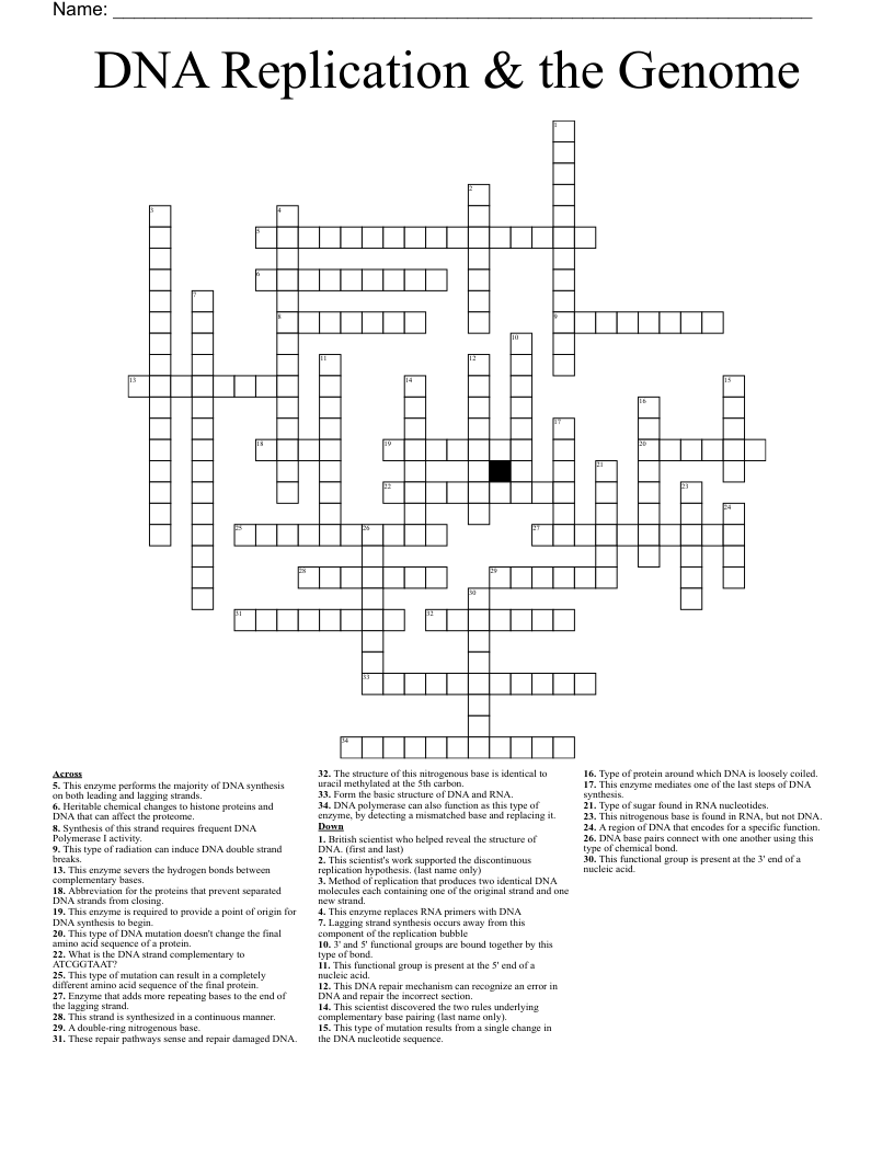 DNA Replication & the Genome Crossword