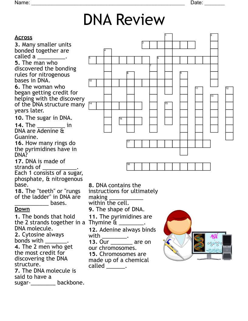 DNA Review Crossword