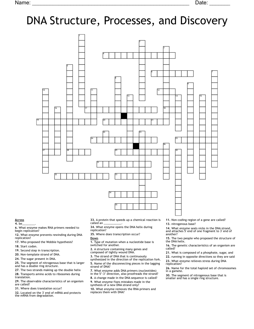 DNA Structure, Processes, and Discovery Crossword