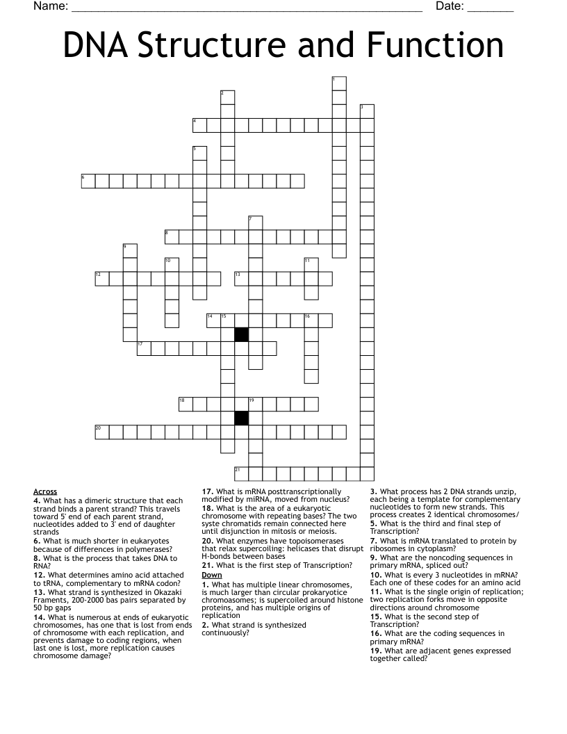 DNA Structure and Function Crossword