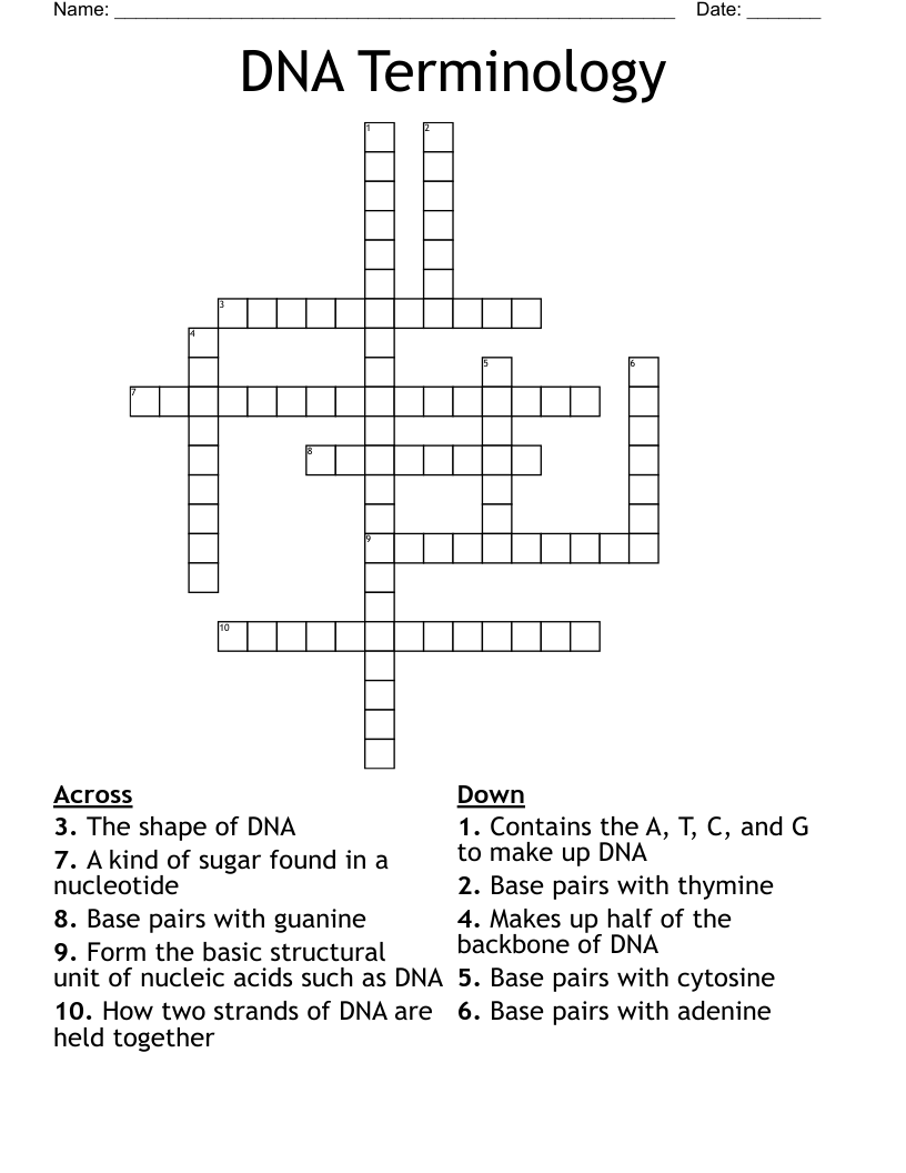 DNA Terminology  Crossword