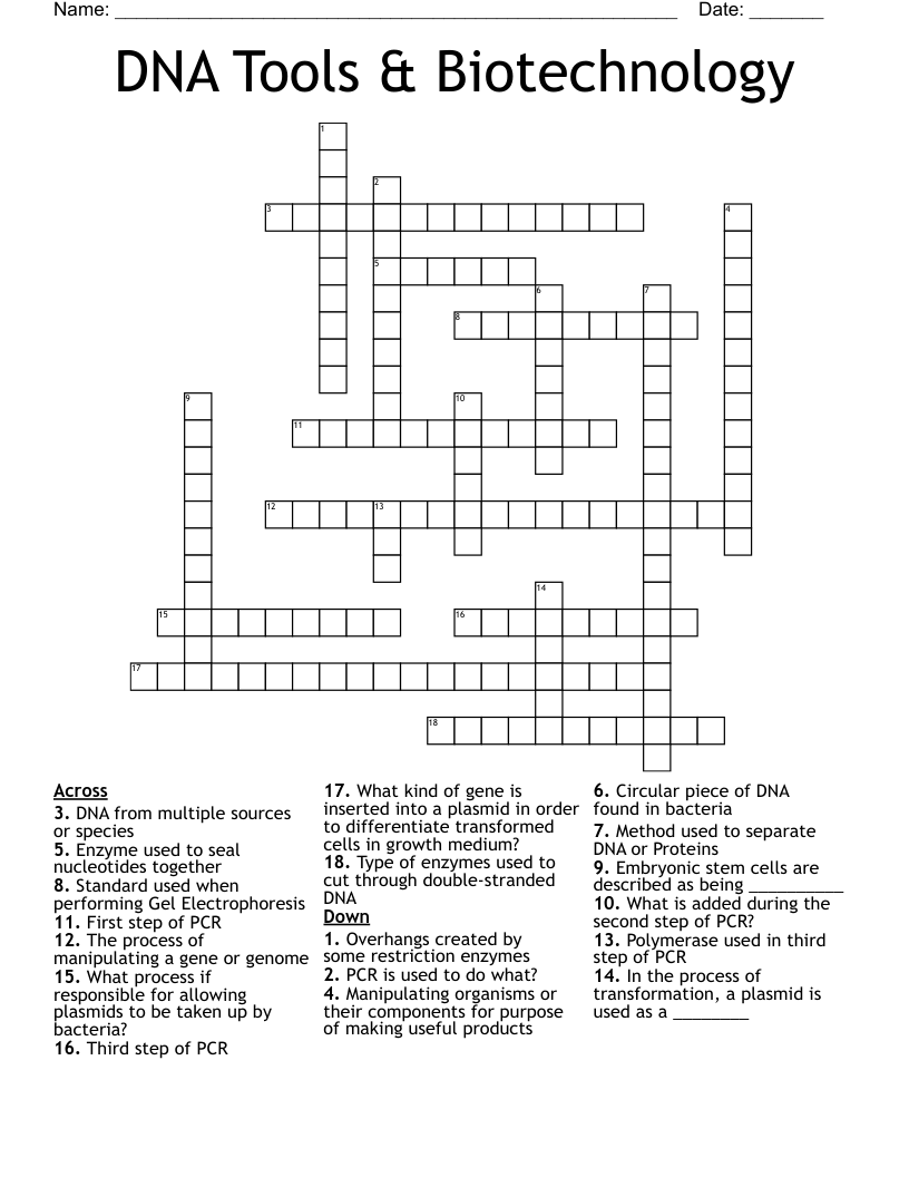 DNA Tools & Biotechnology Crossword