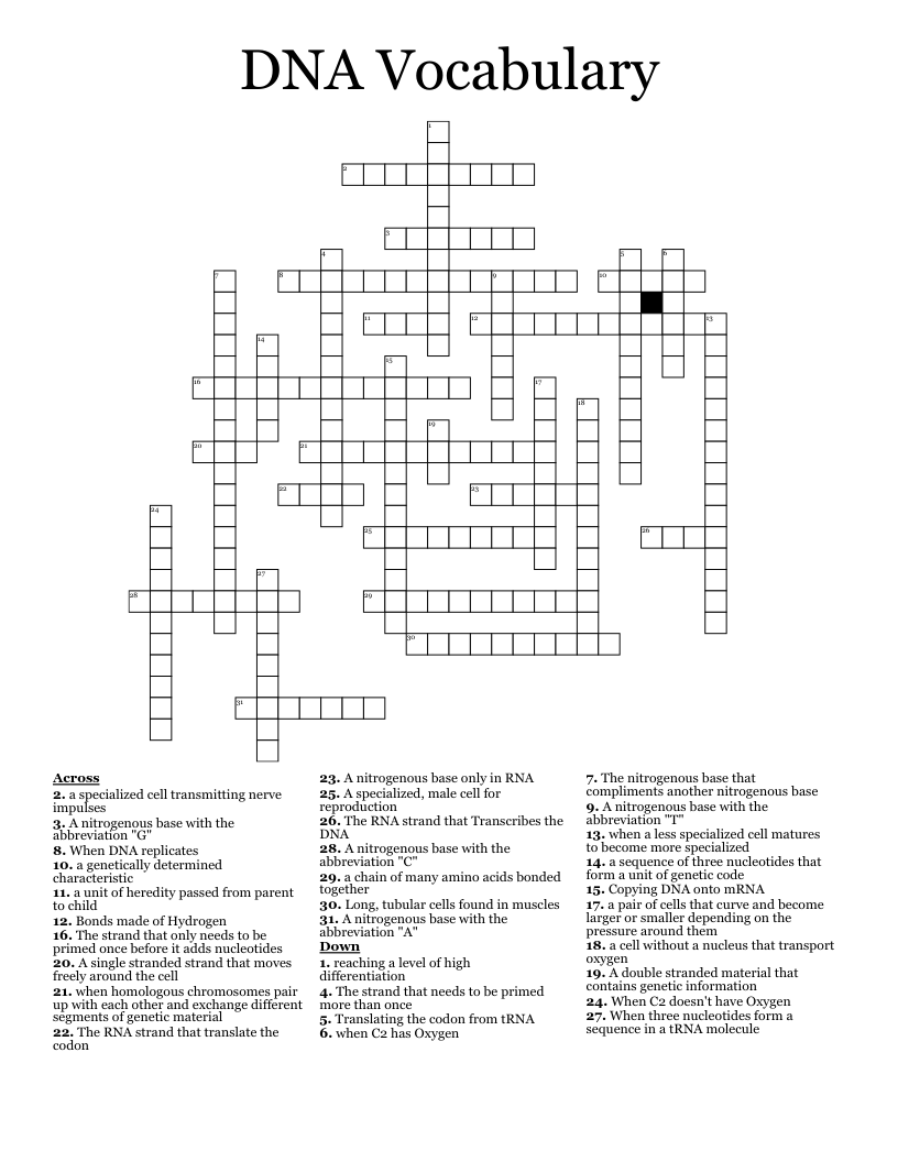 DNA Vocabulary Crossword