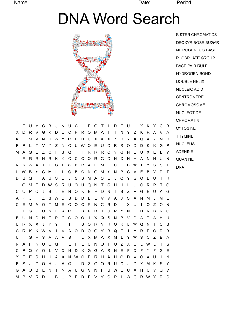 DNA Word Search 