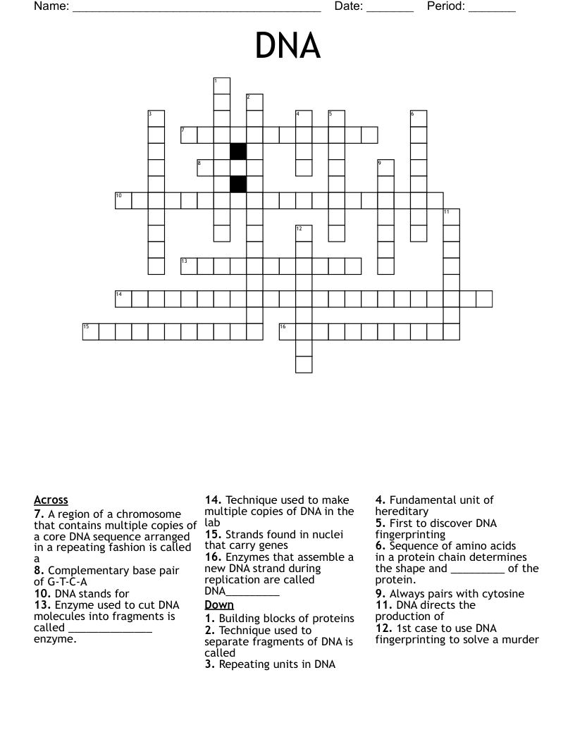 DNA  Crossword