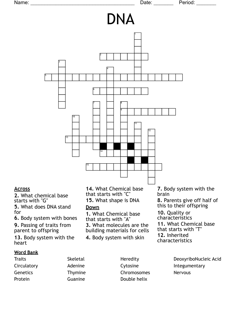 DNA  Crossword