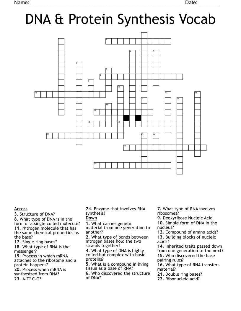 DNA & Protein Synthesis Vocab Crossword
