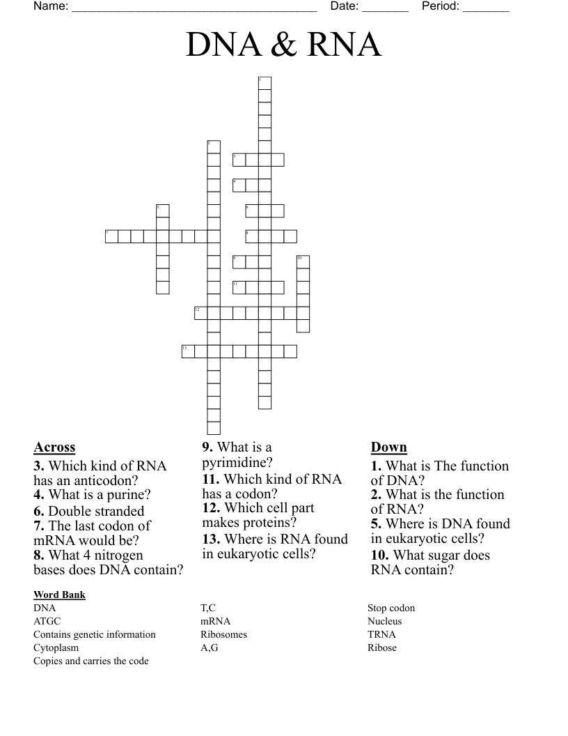 DNA & RNA Crossword