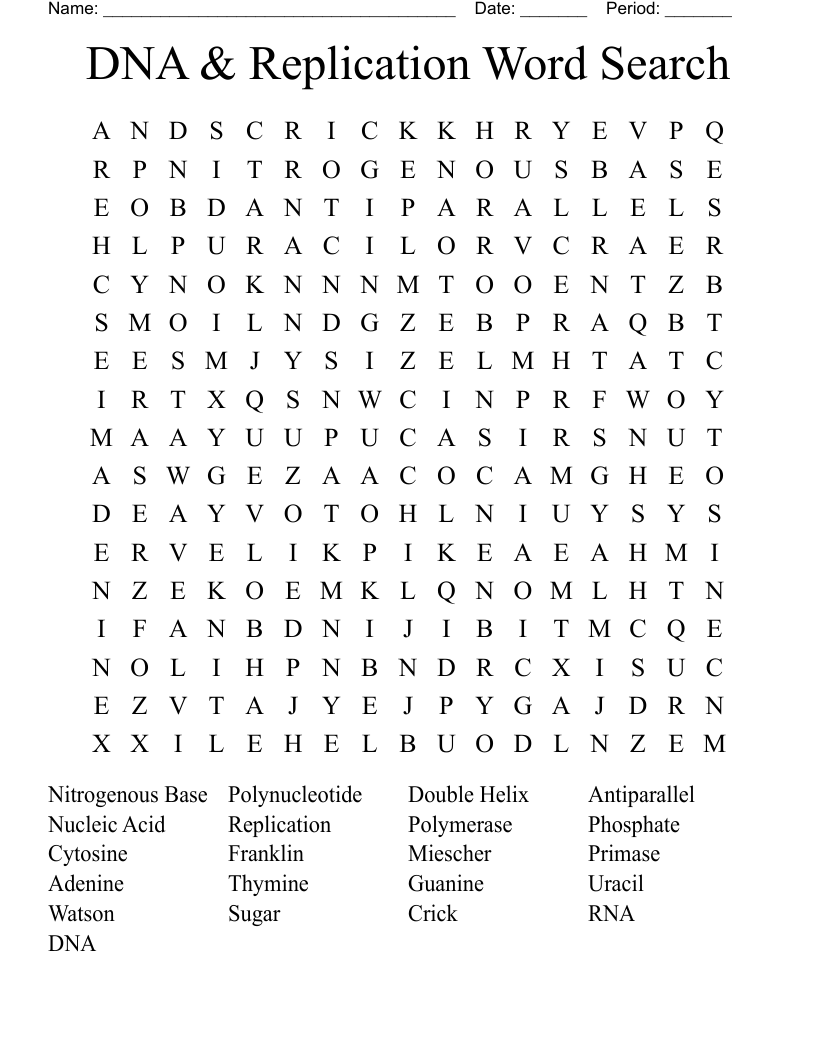 DNA & Replication Word Search