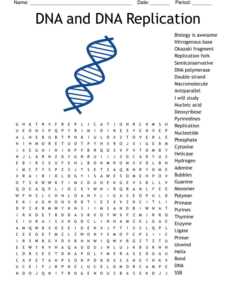 DNA and DNA Replication Word Search