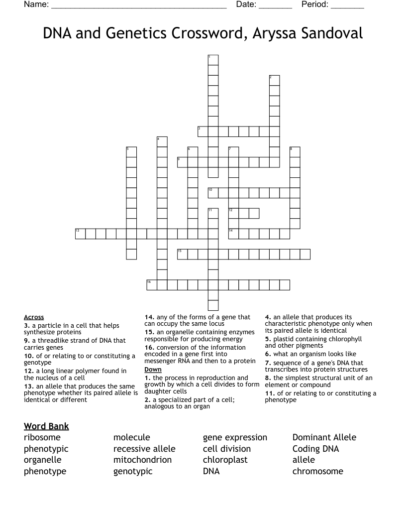 DNA and Genetics Crossword, Aryssa Sandoval