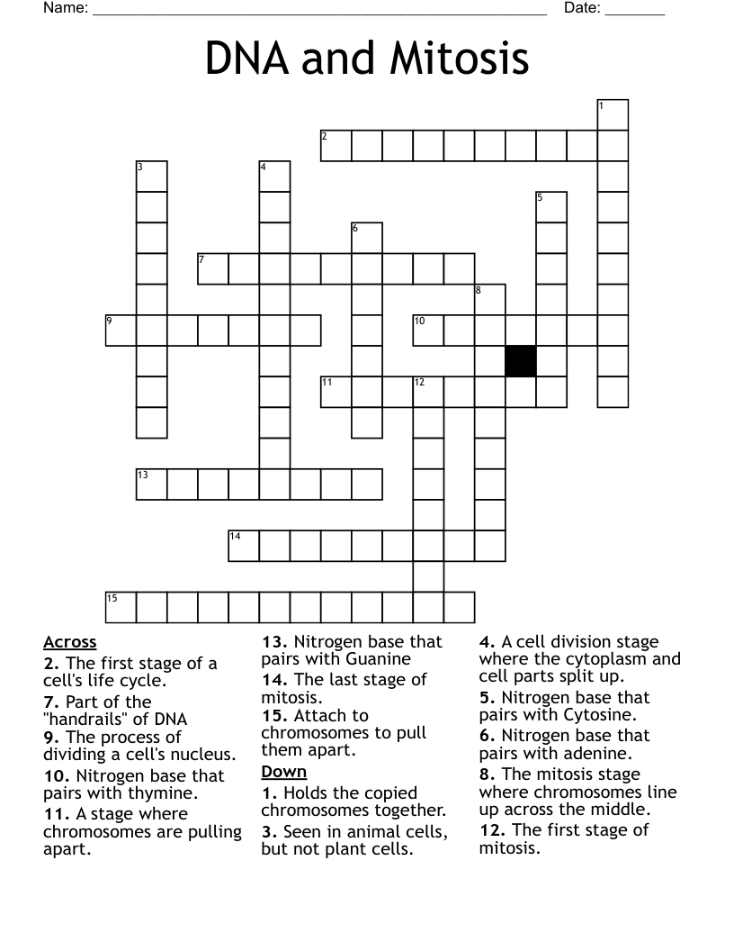 DNA and Mitosis Crossword