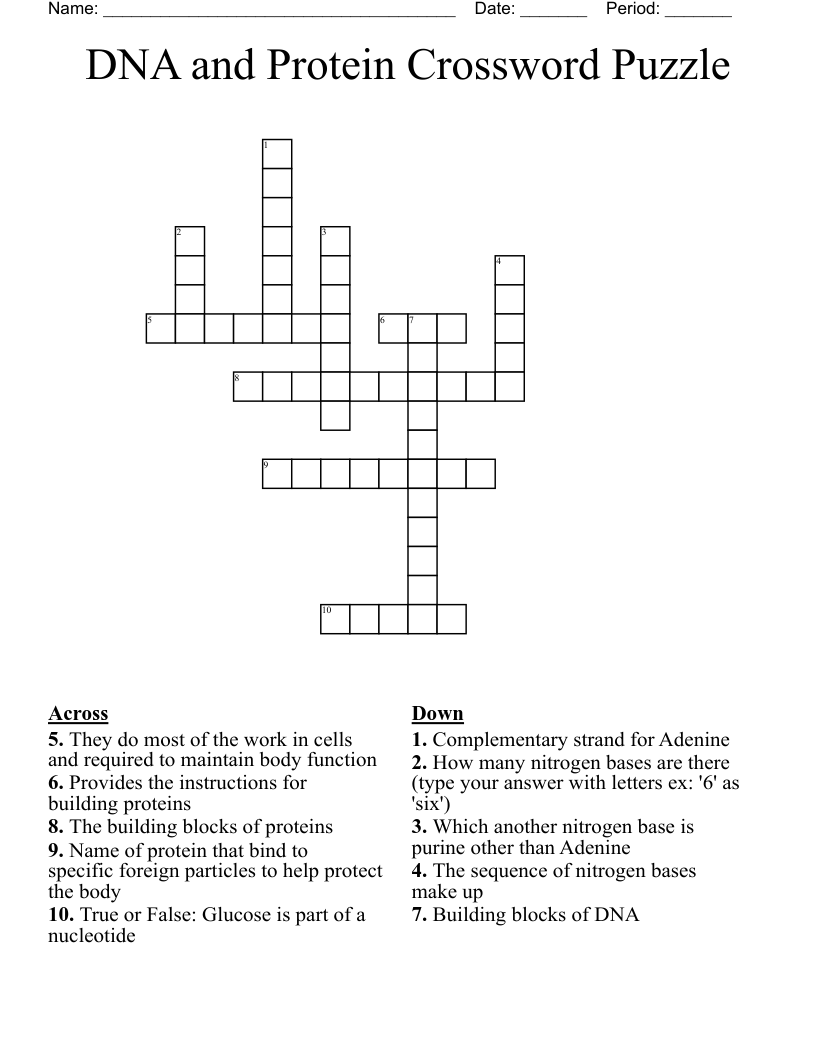 DNA and Protein Crossword Puzzle