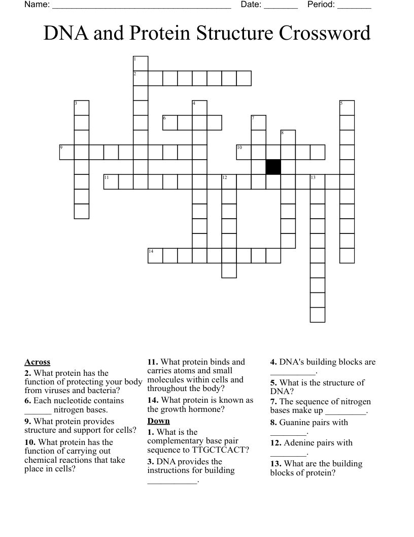 DNA and Protein Structure Crossword