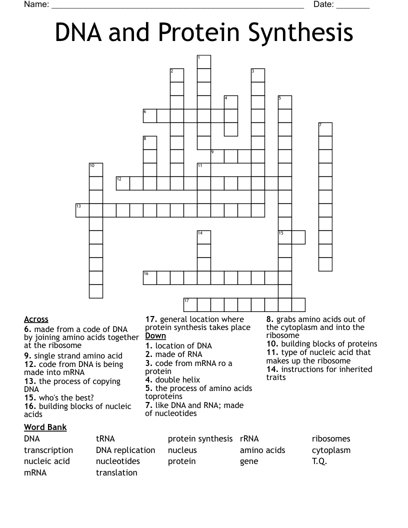 DNA and Protein Synthesis Crossword