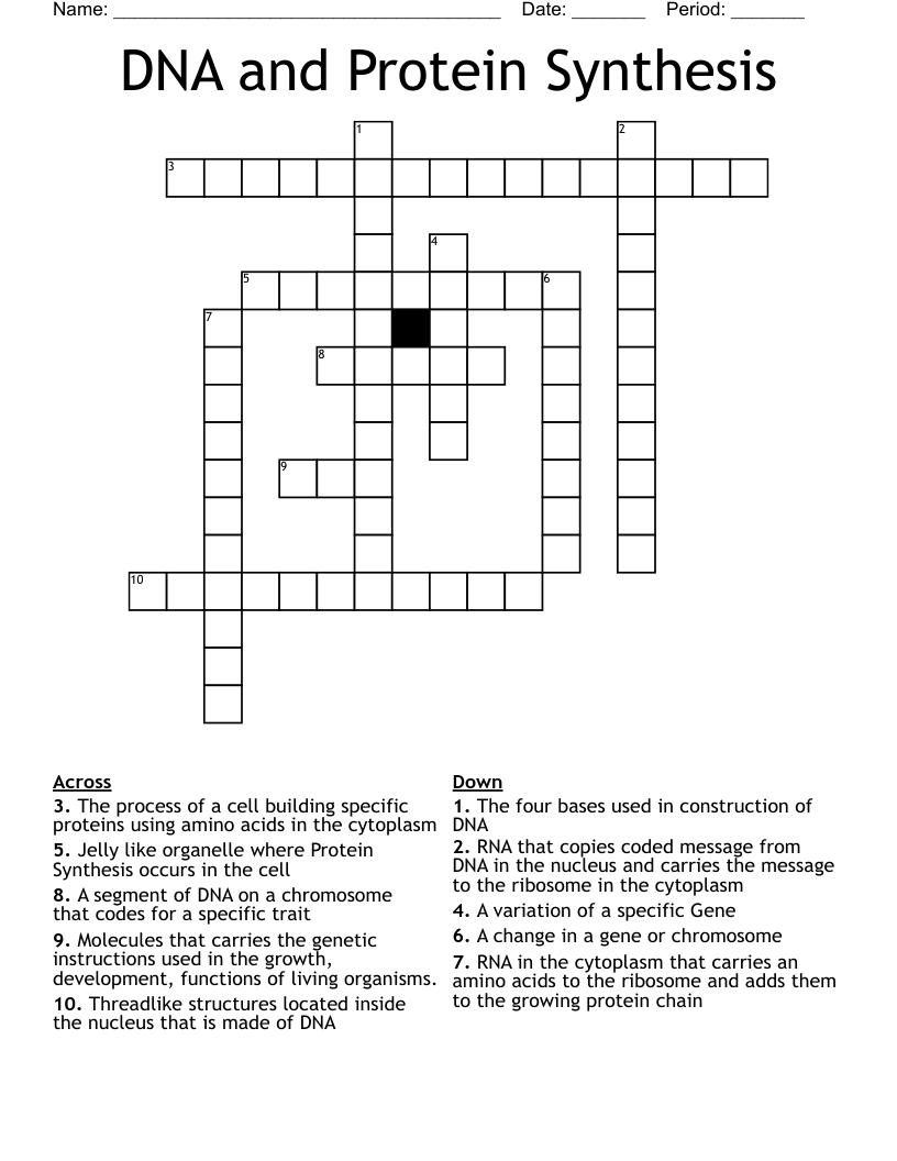 DNA and Protein Synthesis Crossword