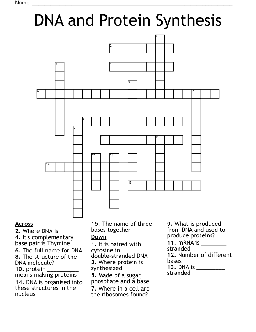 DNA and Protein Synthesis Crossword