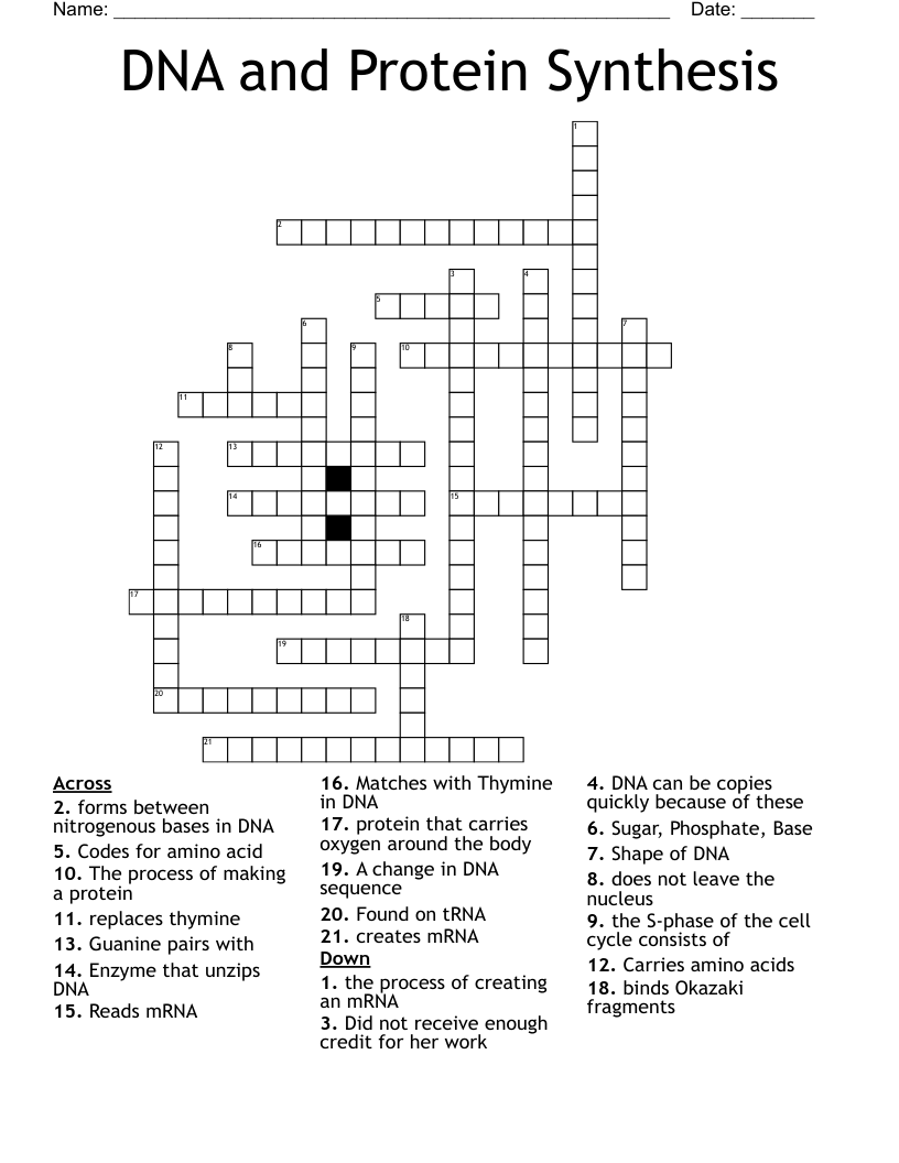 DNA and Protein Synthesis Crossword