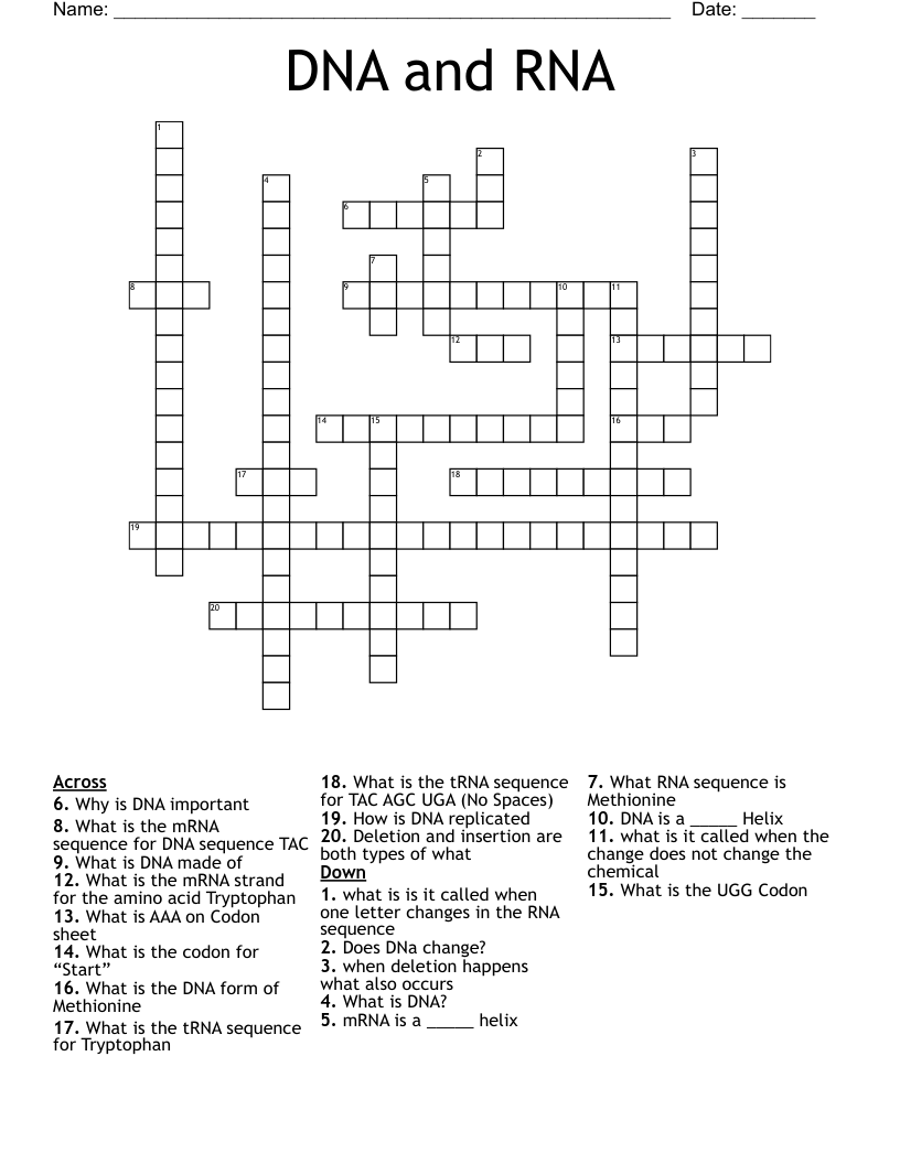 DNA and RNA Crossword