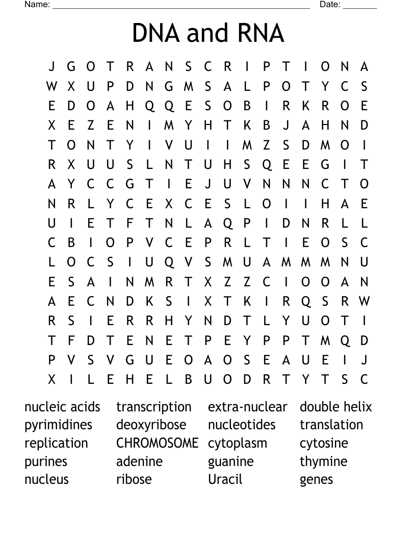DNA and RNA Word Search