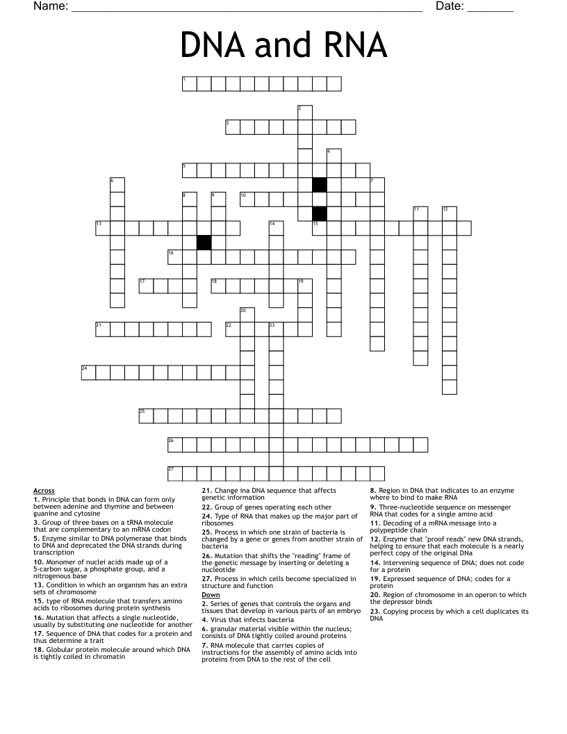 DNA and RNA Crossword