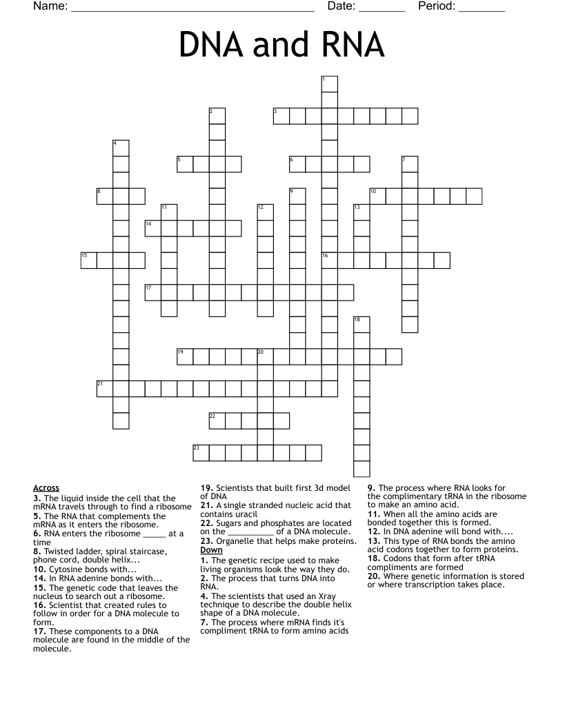 DNA and RNA Crossword